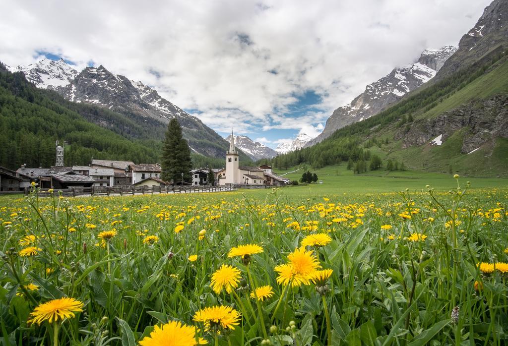 Case Gran Paradiso Rhemes Notre Dame Zewnętrze zdjęcie